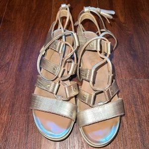 Gold Gladiator Platforms